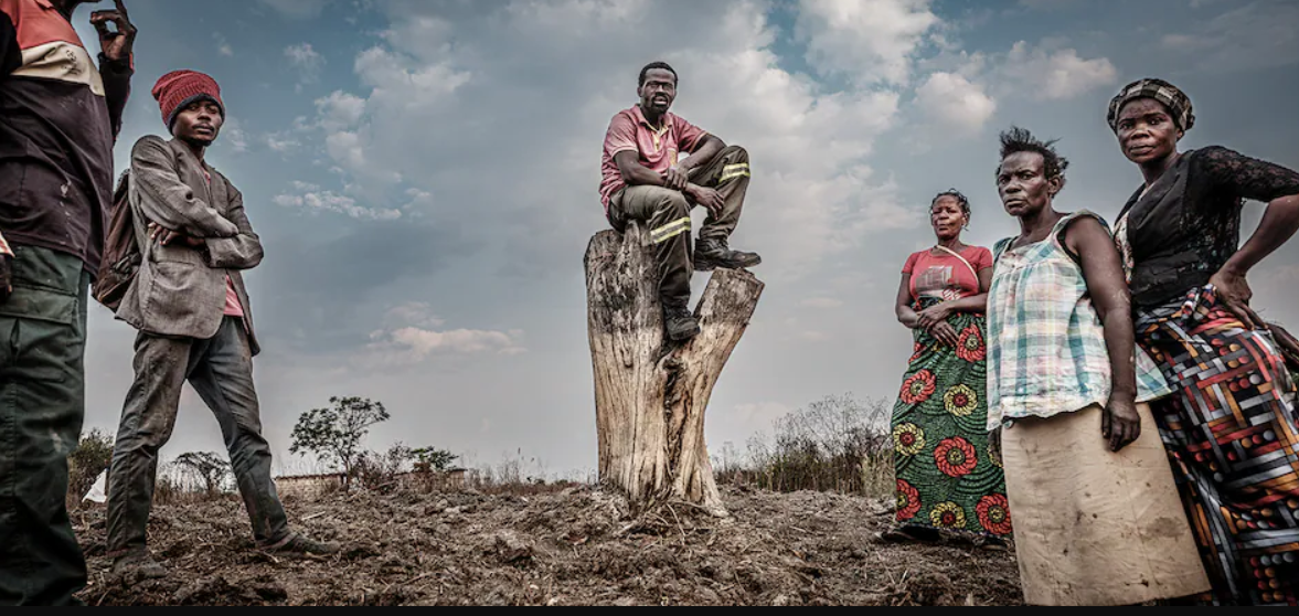 Afrika ölkəsində ekoloji fəlakət: Turşu tullantıları minlərlə hektarı məhv etdi (FOTO)